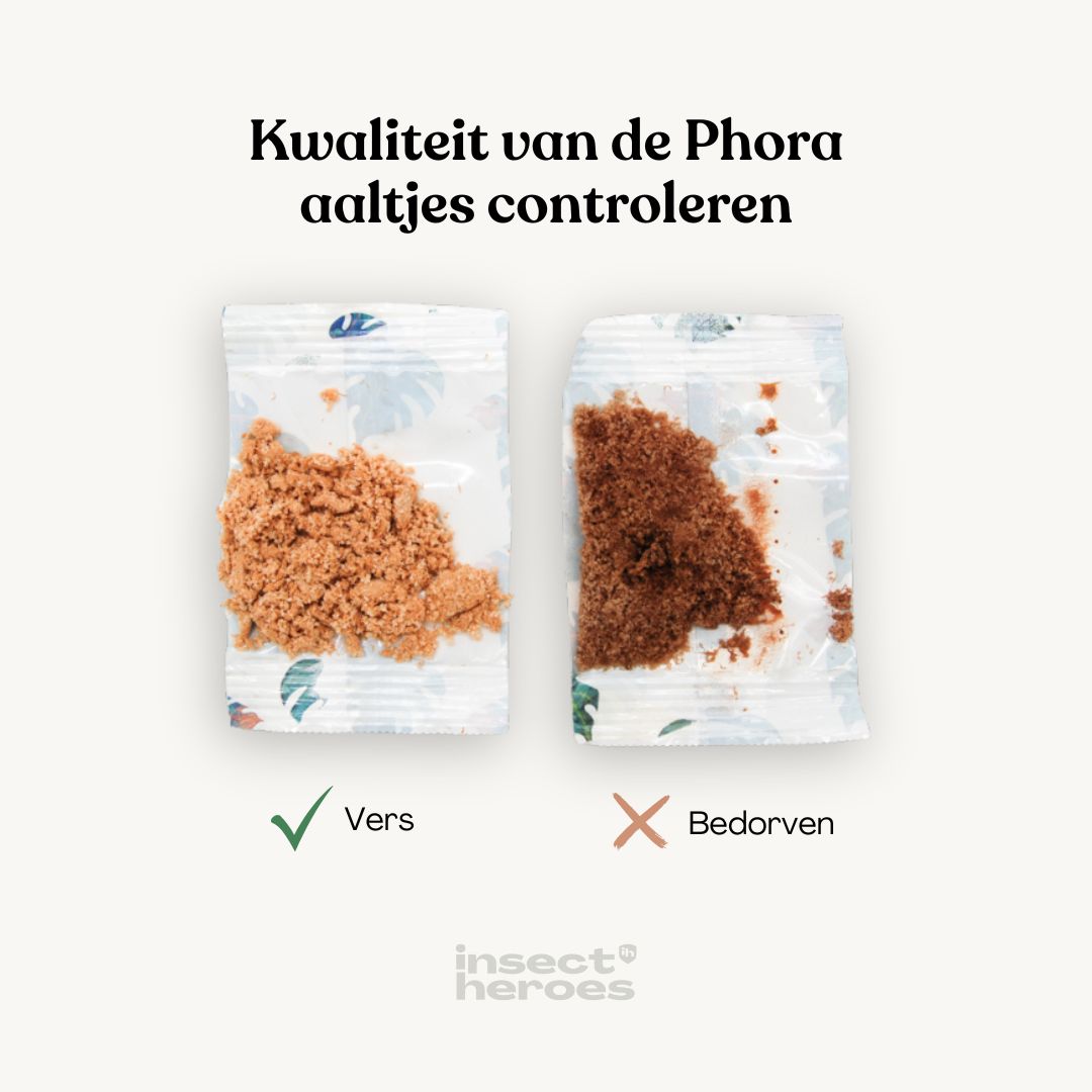 Phora - tegen taxuskever