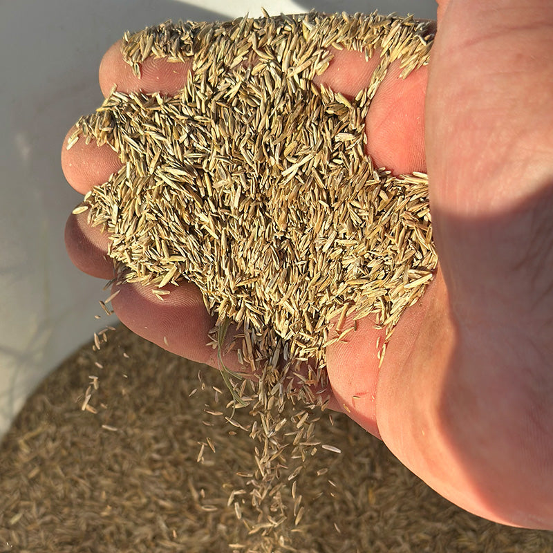 Graszaden